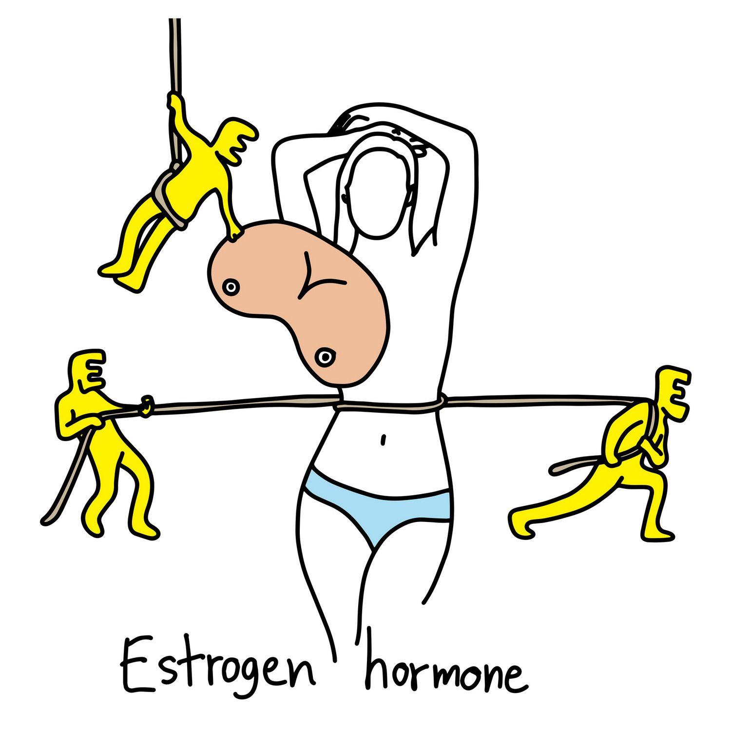 ホルモンバランス　トンデモ医療