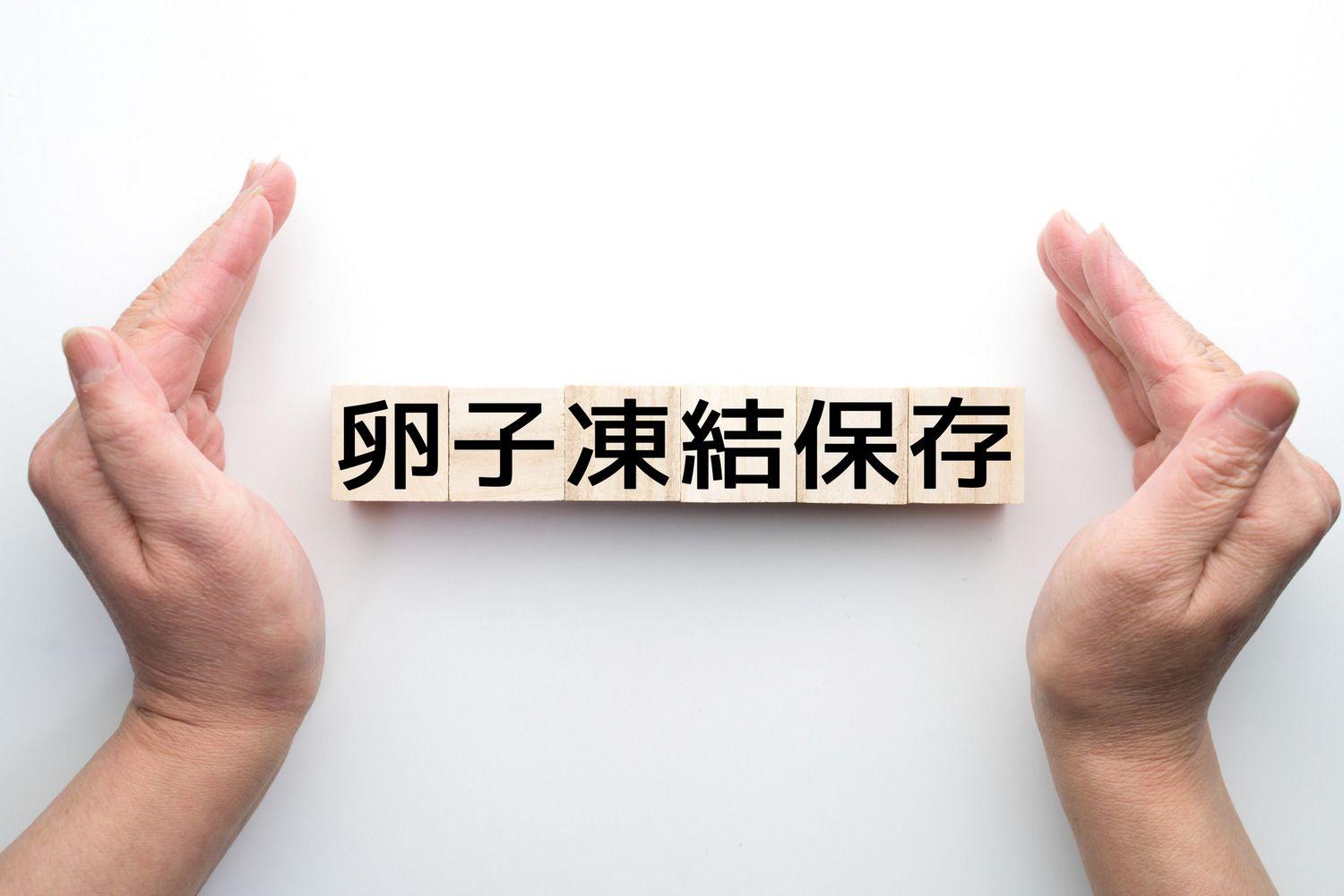 社会的卵子凍結　不妊治療