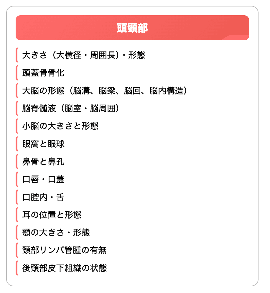 出生前診断　中期・後期