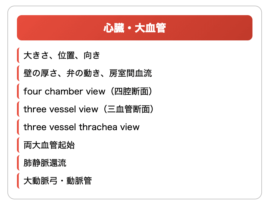 出生前診断　中期・後期