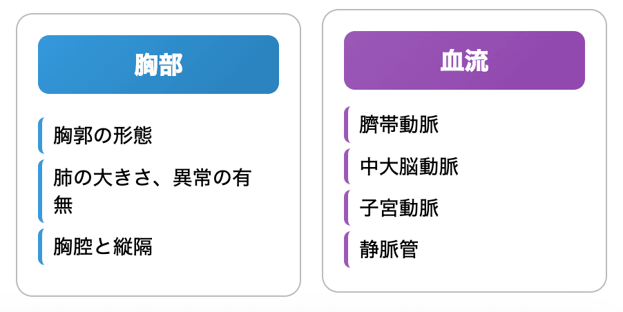 出生前診断　中期・後期