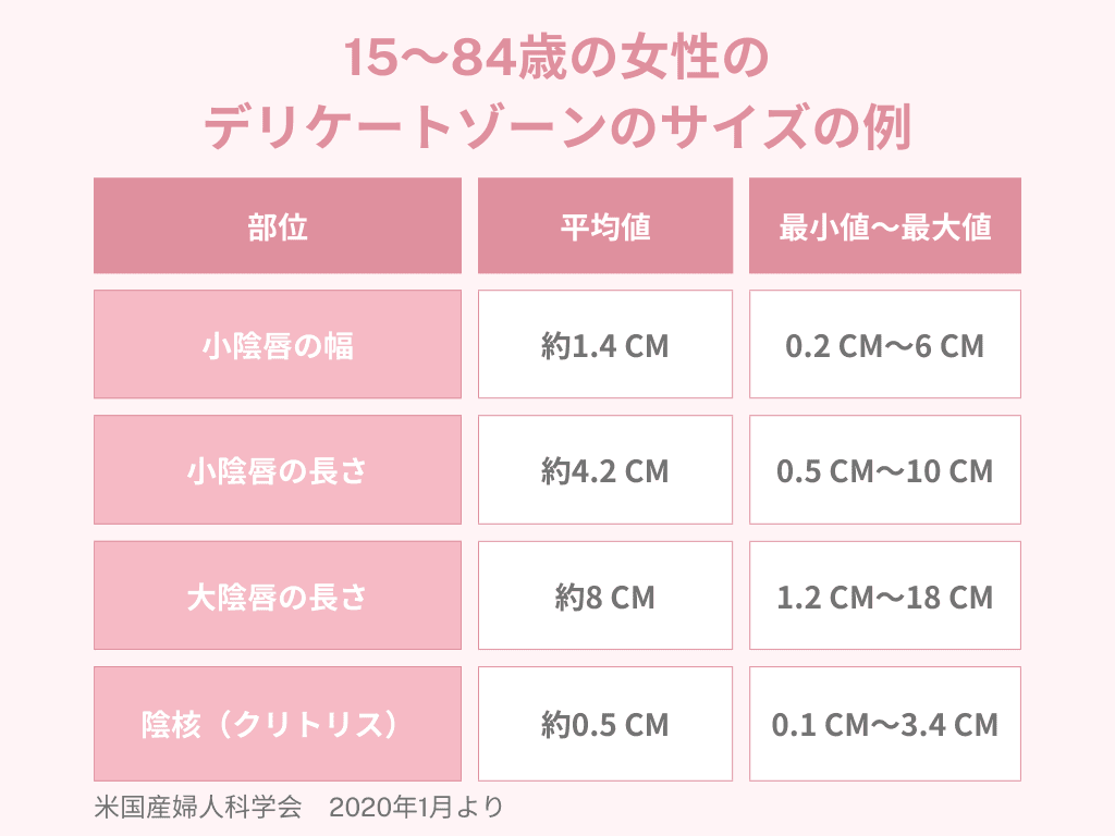 女性のデリケートゾーンサイズの表