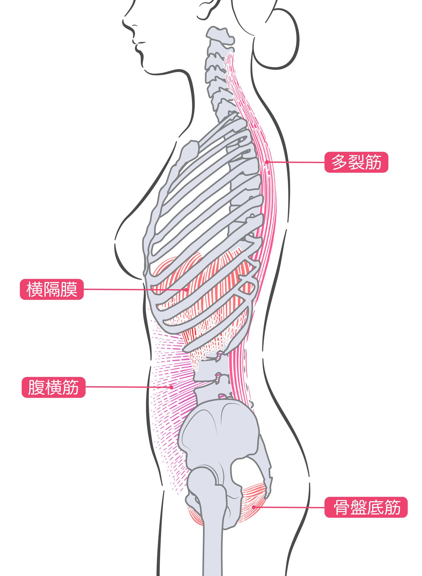 pixta_104794662_M.jpg