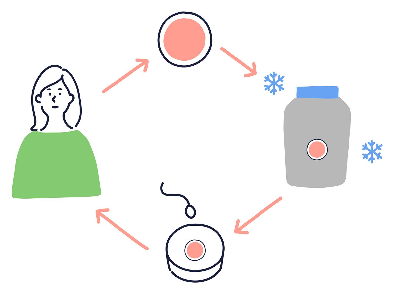 社会的卵子凍結 不妊治療