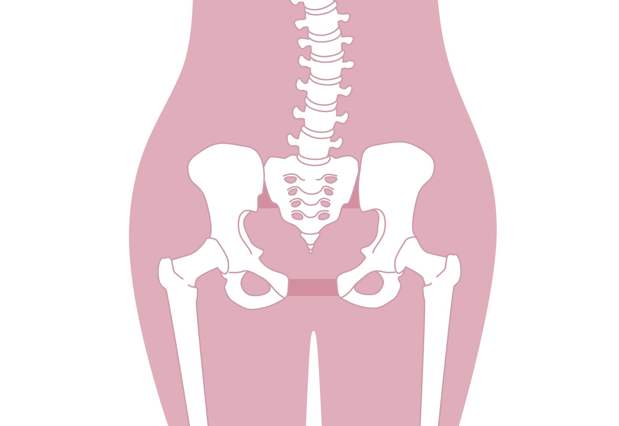女性の骨盤