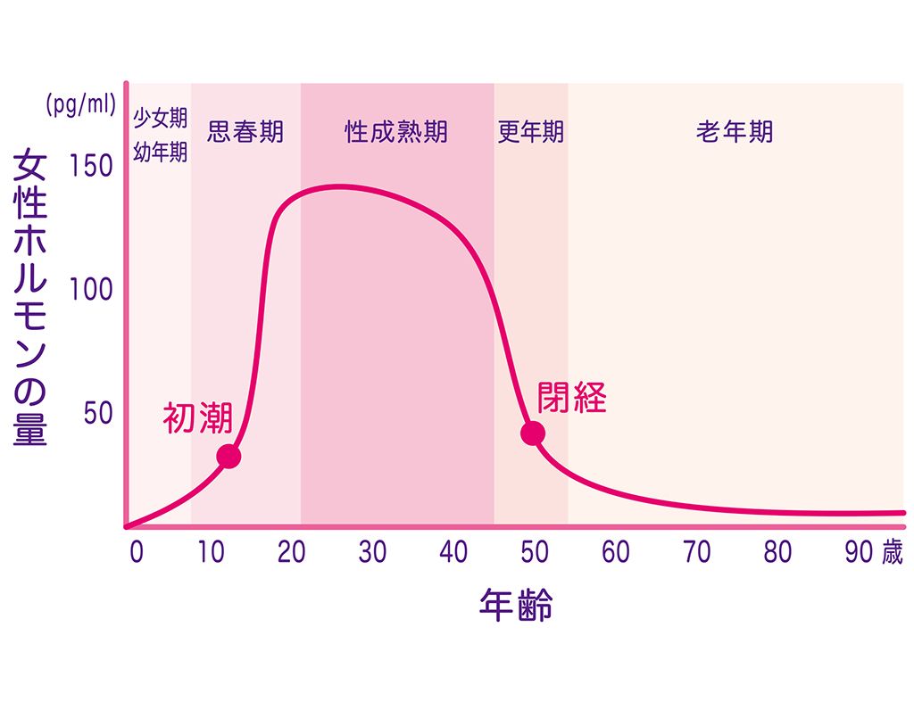 女性ホルモン(エストロゲン)の変化