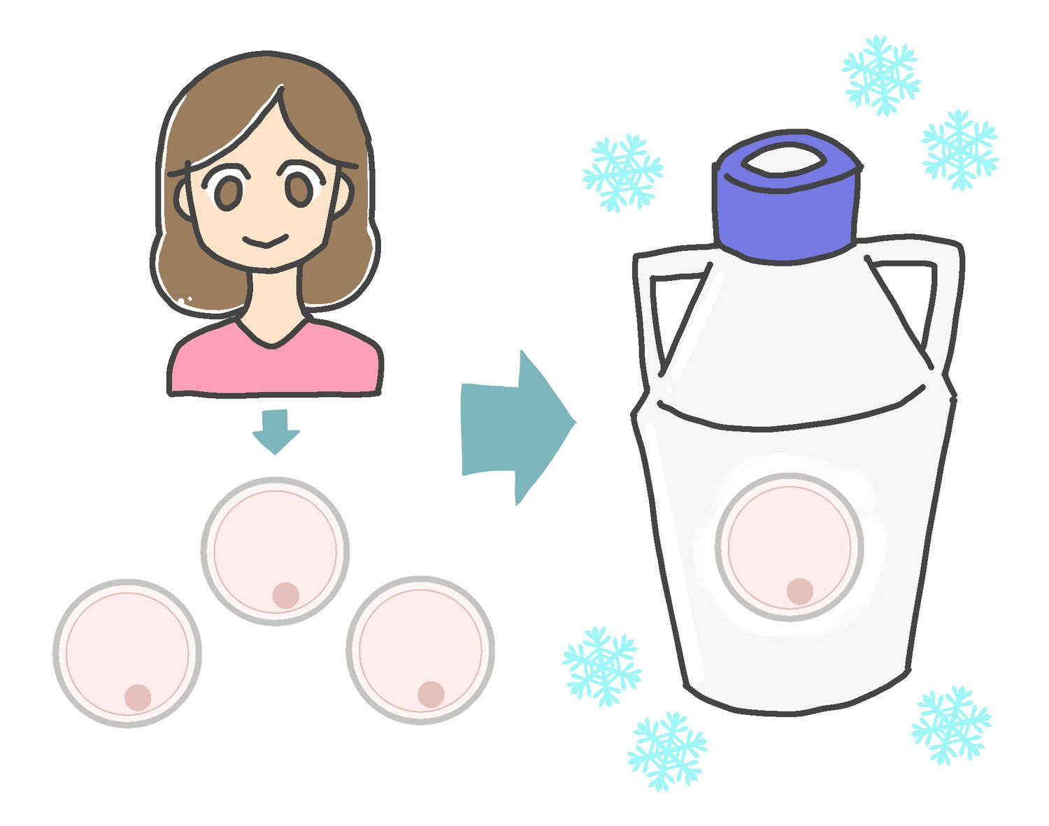 不妊治療　卵子凍結　貯卵