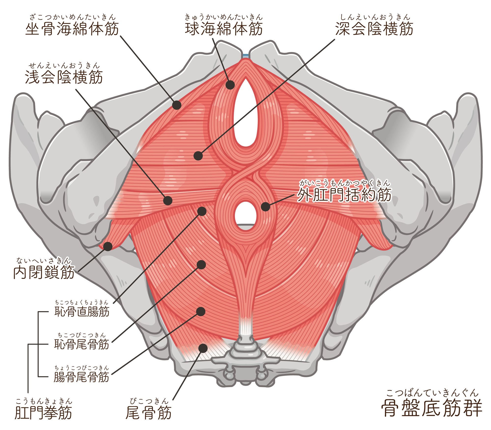 pixta_90232395_M.jpg