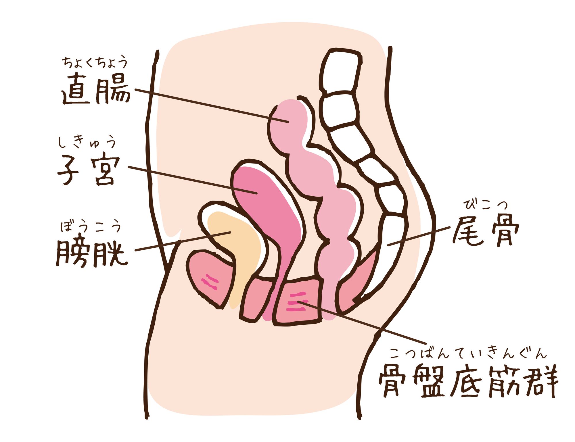 pixta_96679075_M.jpg